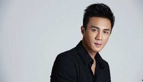 男明星的帅哥,盘点娱乐圈男明星中的颜值担当