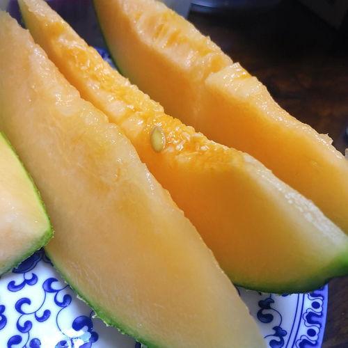 今天吃哈密瓜,哈密瓜的甜蜜邂逅