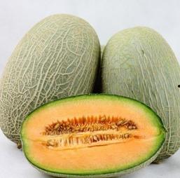 吃哈密瓜吃出虫子,食品安全警钟长鸣