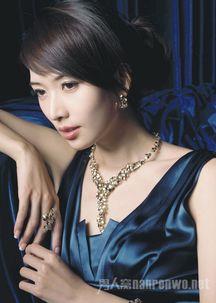 林志玲小说明星系列,璀璨星途，情感纠葛