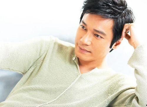 香港明星 罗,香港影视界的璀璨星辰