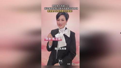 宿迁市明星,璀璨星河中的璀璨明珠