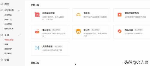 番茄和头条小说区别,内容与风格的差异化解析