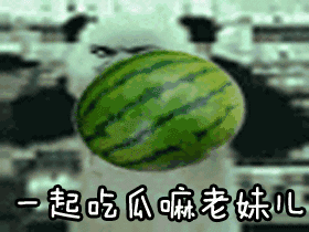 太原骑行吃瓜,一路吃瓜趣事多