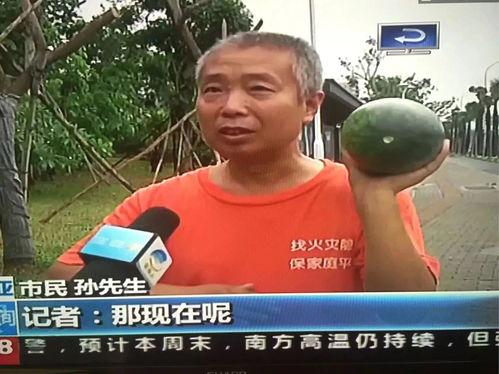 吃瓜各种热门事件分享,盘点近期热门事件背后的真相与笑料