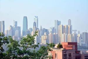 重庆南坪吃瓜事件始末,一场网络热议背后的真相与反思