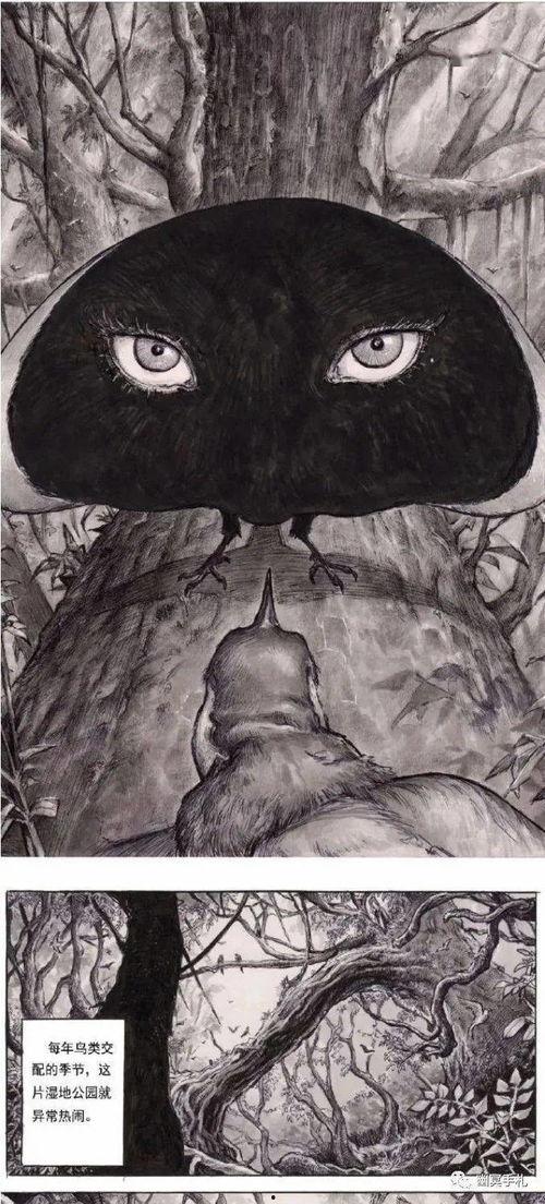 富江吃瓜切片,切片吃法引领潮流