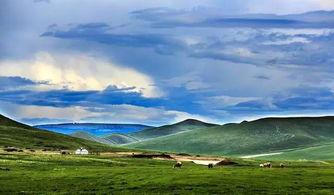 随州有哪些网红草原,绿意盎然，诗意栖息的天然画卷