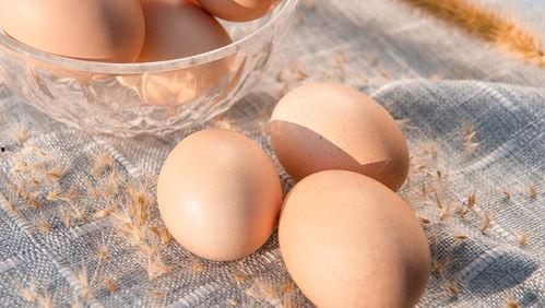 健身网红吃鸡蛋视频,每日必吃的鸡蛋，如何助你打造完美身材？
