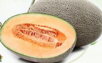 如果没有哈密瓜怎么吃哈密瓜,探索替代美味
