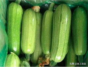 网红吃整个西葫芦图片,创意吃法引网友热议