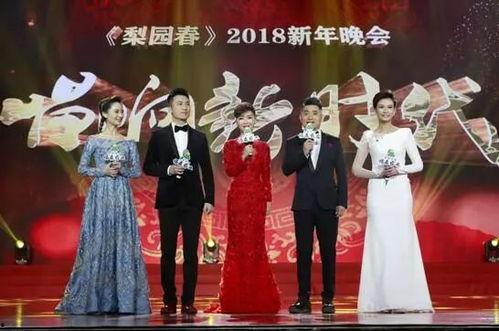 河南卫视梨园春直播在线观看,河南卫视戏曲盛宴，在线观看精彩纷呈