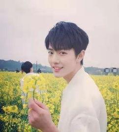 圈内爆料杨紫肖战的视频,甜蜜瞬间引网友热议