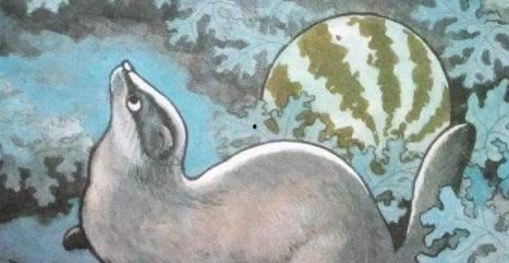 山猹吃瓜,揭秘山林中的神秘食客