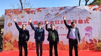 青岛九水新闻头条视频,探寻九水风景区的生态魅力与人文故事