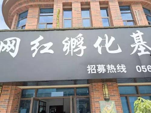 黎川网红孵化公司,打造明日之星的摇篮