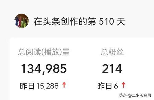 头条相互关注才是粉丝吗,头条相互关注才是真粉丝”