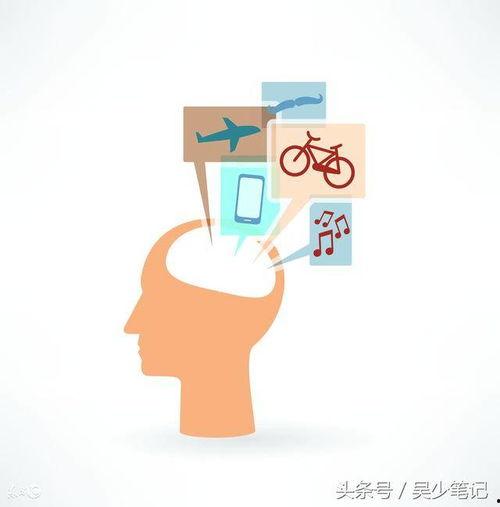 头条号播放量几点更新