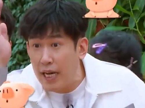 逼疯白鹿的明星,揭秘明星背后的心酸与挣扎