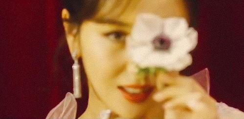 中国明星争宠视频,中国娱乐圈的权力游戏