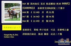 香港看料网,深度解析最新市场动态与投资策略