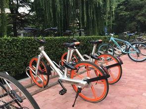 以色列网红自行车,绿色出行新潮流